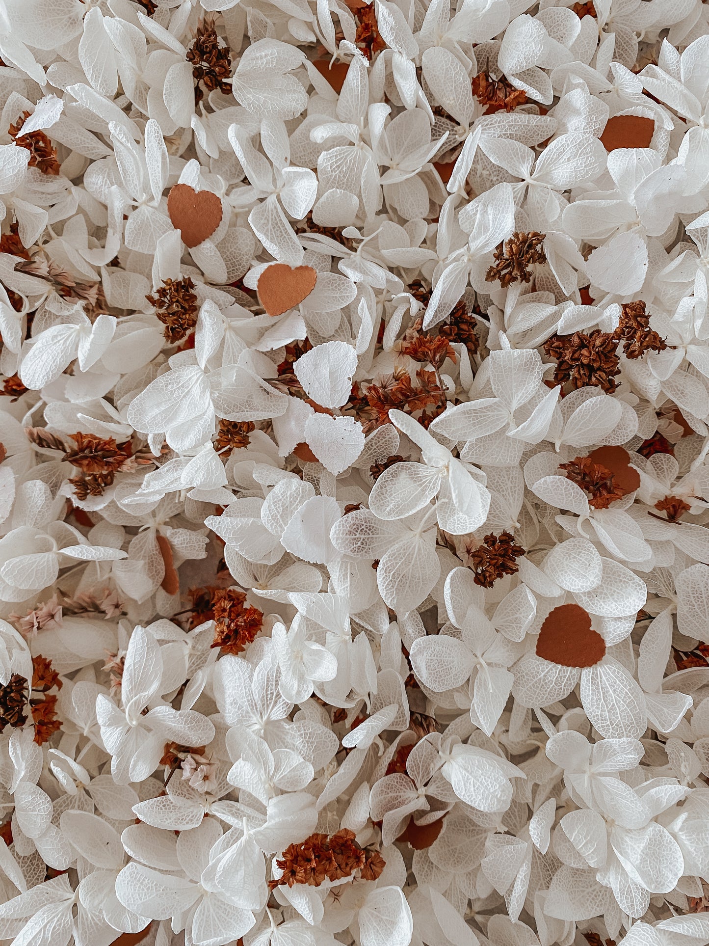 CONFETTIS BIODÉGRADABLES Blanc/beige/terracotta