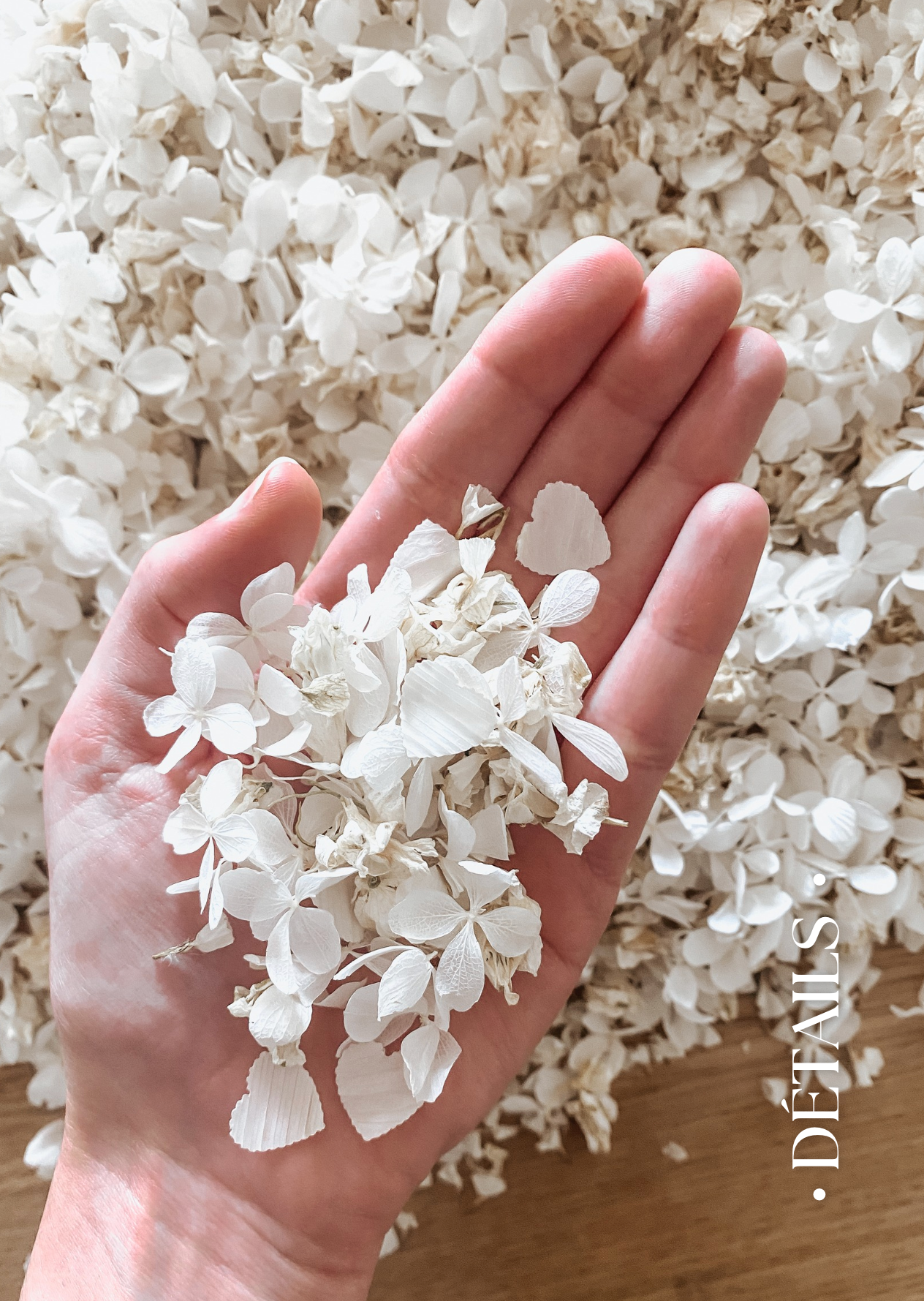 CONFETTIS BIODÉGRADABLES Blanc/beige