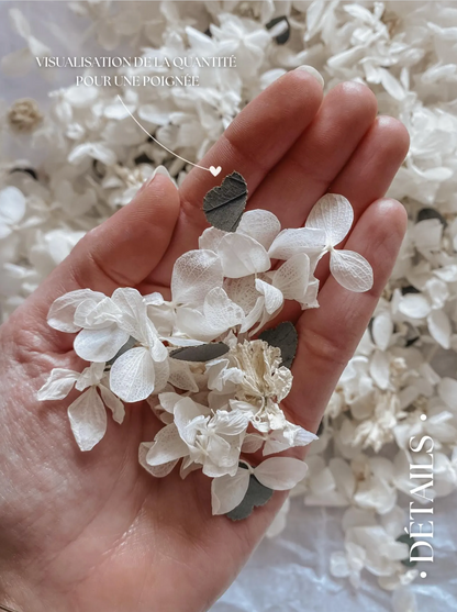 CONFETTIS BIODÉGRADABLES Blanc/beige/vert