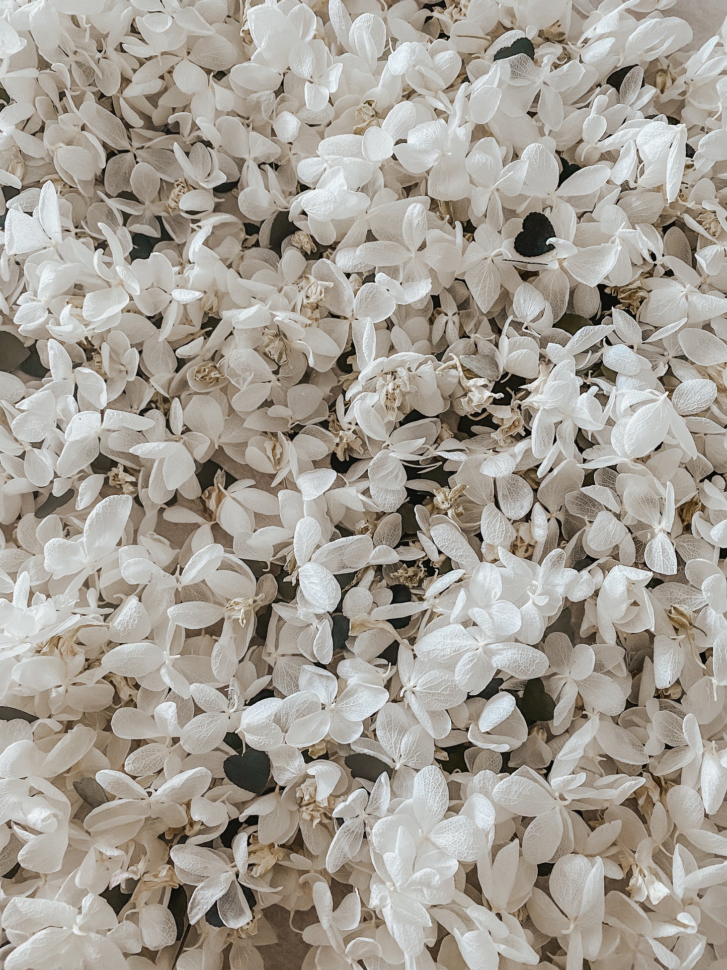 CONFETTIS BIODÉGRADABLES Blanc/beige/vert