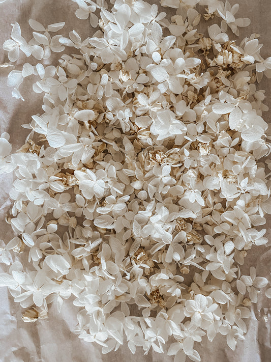 CONFETTIS BIODÉGRADABLES en fleurs stabilisées - Blanc/beige